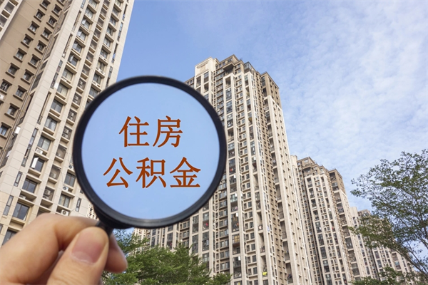 泗阳离职后公司不给转公积金怎么办（离职后公司不给转社保怎么办）